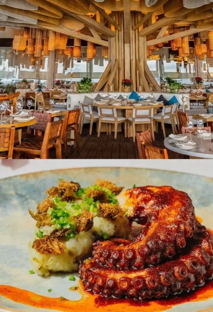 🌮 Cancun Fine Dining Guide  🍽️