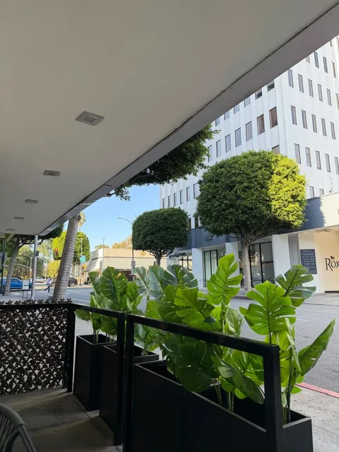 LA | Best Coffee in Beverly Hills ☕️