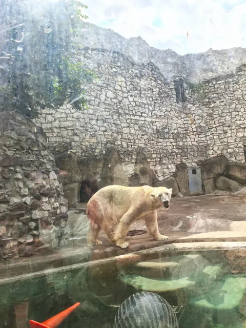 🐘 Moscow Zoo | A Perfect Spot for Family Fun 🦒