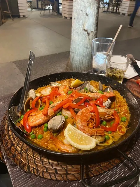 🇺🇸Qt Miami｜Tapelia Spanish Restaurant 🌟🍴