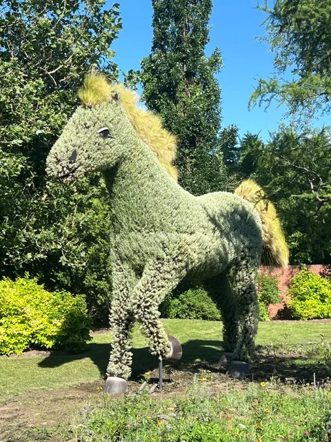 🇨🇦 Montreal Unfiltered: A Journey Through Its Iconic Landmarks 🌄⛪🌳