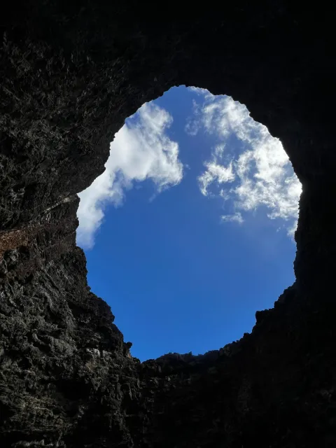 Girl crew ft. Dolphins & Great music