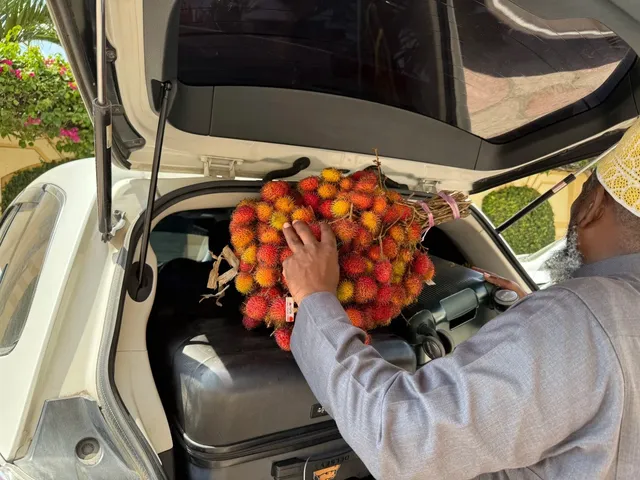 🌍 Zanzibar Travel Diary – Ultimate Food & Transport Guide