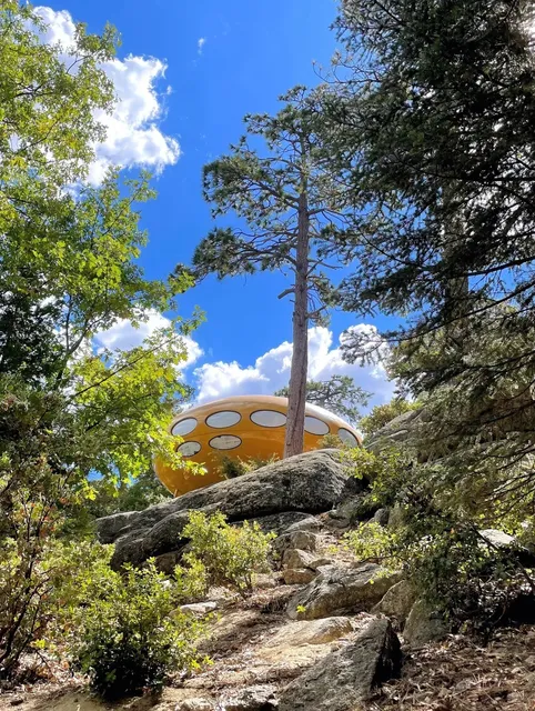 LA Weekend | Idyllwild 🌲 A Day Trip Guide to the Forest Town 🐾  