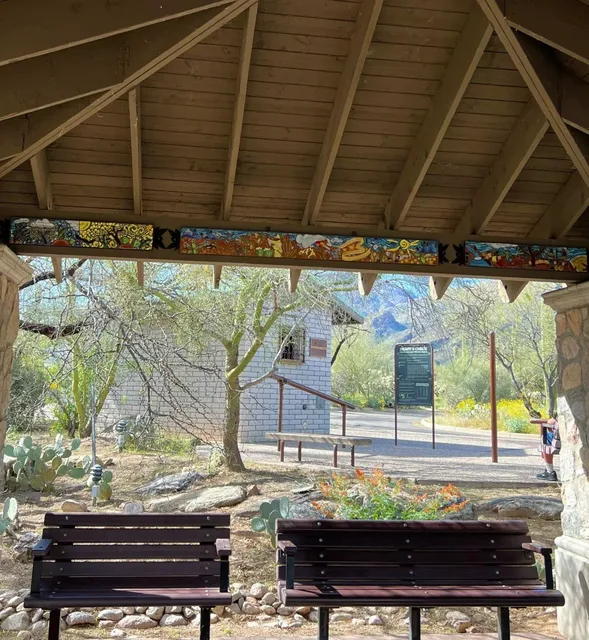 Tucson🌵 | Sabino Canyon: A Hiker's Paradise (Don't Miss This!)