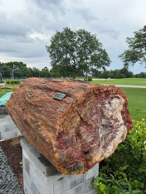 🇺🇸 Chicago’s Hidden Gem: Lizzadro Museum of Lapidary Art 💎✨