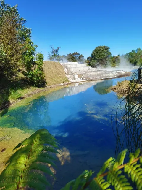 🇳🇿 North Island’s Hidden Gem: Wairakei Terraces Hot Springs