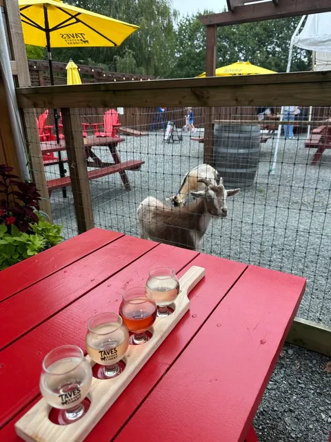 Vancouver Family Weekend Pick: Taves Farm Apple-Park