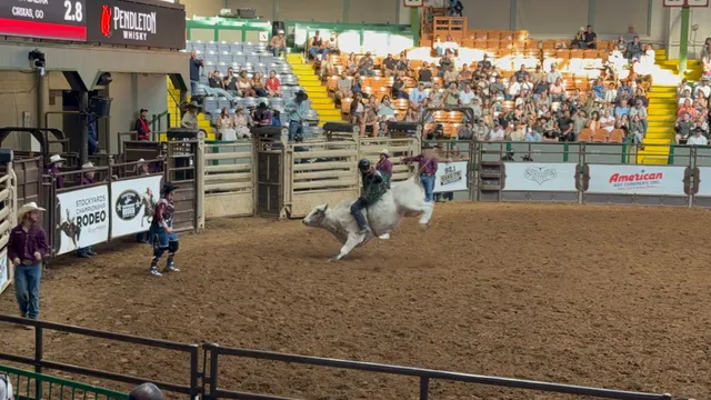 48 Hours in Dallas-Fort Worth