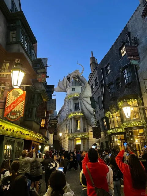 🏟️ Diagon Alley Alone Makes Orlando Universal Worth the Trip