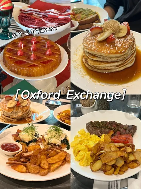 Tampa Travel Guide for Students! 🌊🤤