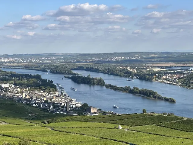 A Must-Visit Town Near Frankfurt for the Weekend 🍇🚡
