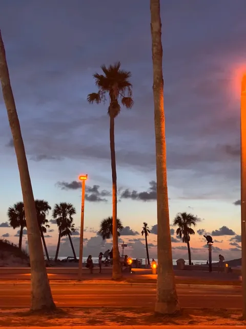 🇺🇸 🏝️ Tampa｜Escape the City With Me