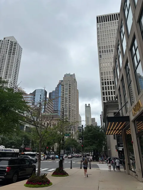 🇺🇸 Magnificent Mile in Chicago ✨