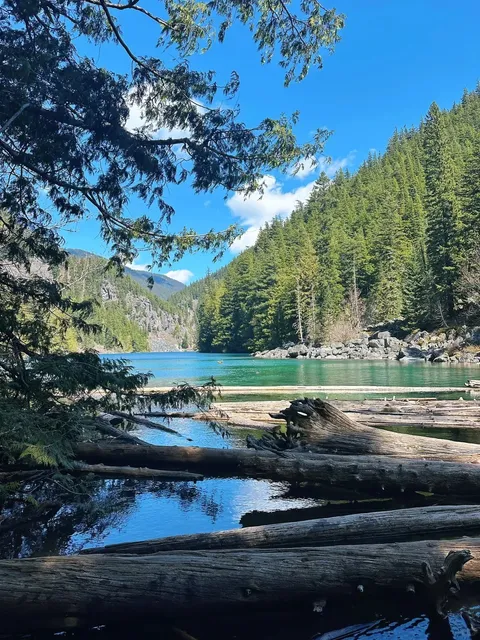 🌿 Stunning Lindeman Lake | A Sunny "Little Forest" Escape 🌲