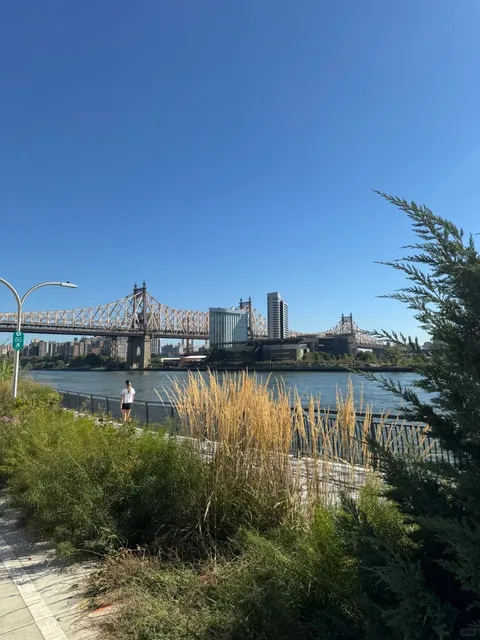 Running Along the East River Esplanade in Midtown East Manhattan 🌟