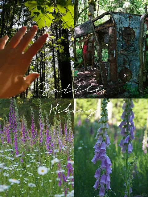 🌲🥾 Seattle Hiking 