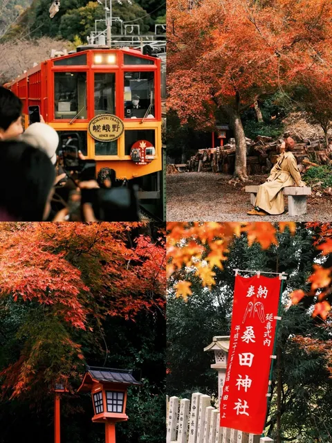 Tired of Waiting for the Arashiyama Mini Train?
