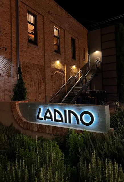 San Antonio Foodie Review 🍽️