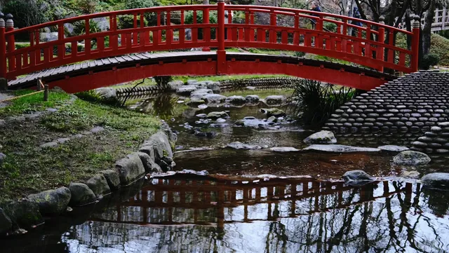 🎨 Paris | Elegant and Chic Museum 🎨