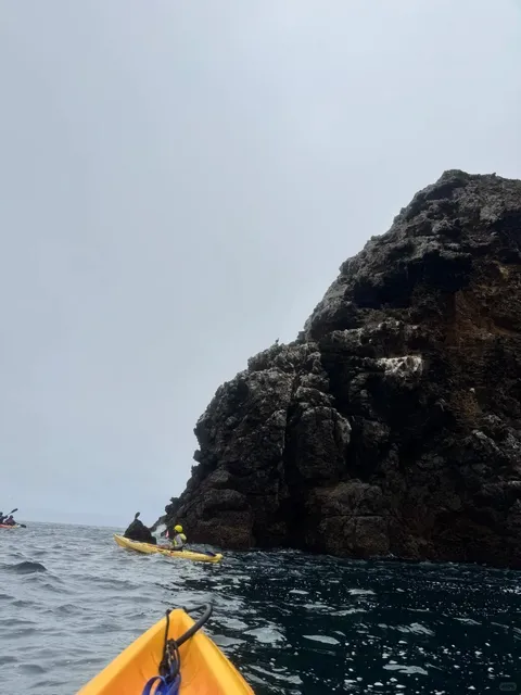 LA Day Trip｜Dare to Try Sea Cave Kayaking at Channel Islands! 🛶🌊
