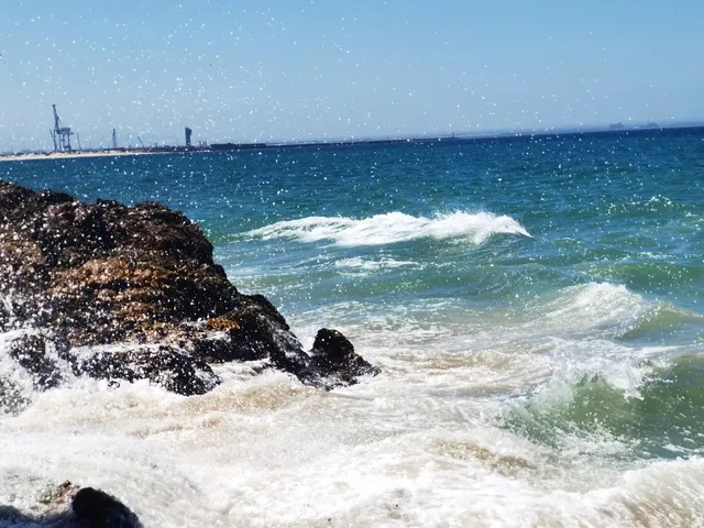 "Port Elizabeth's Sea is Jade-Colored" 🌊💚✨