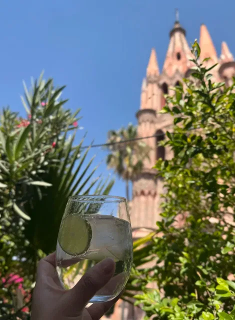 ATRIO: Dining with a View of the Pink Cathedral 🌮🌇