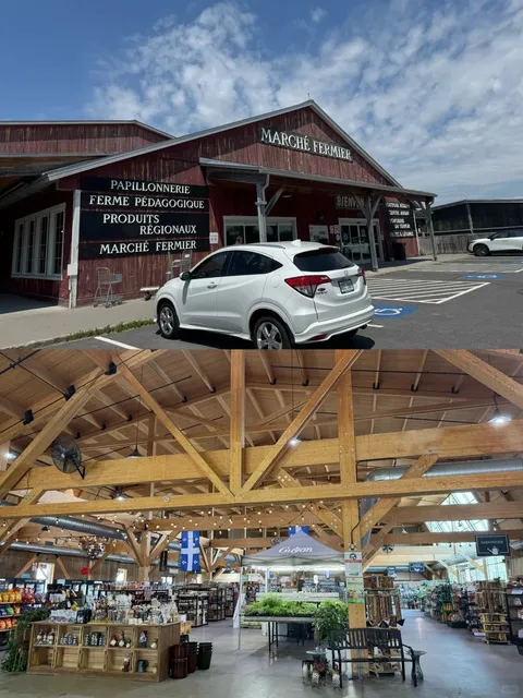 Montreal South Shore's Hidden Gem: Marche Fermier Farm Market 🌻🐑