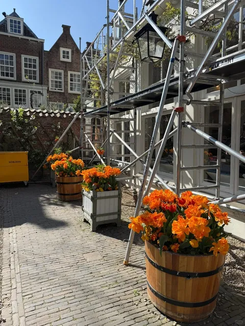 Oss Street Corners | Fragments of Pure Dutch Bliss 🌤️📸