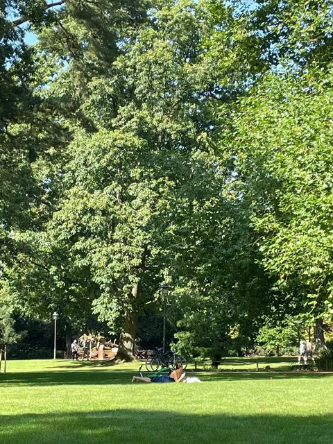 🇩🇪 Münster Day Trip: Slow Travel at Its Finest 🚲🌿