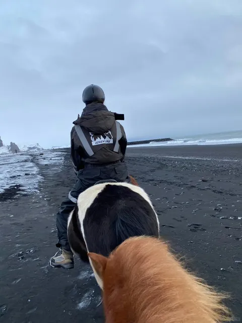 Auckland's Must-Do Apocalyptic Black Sand Beach Horse Riding