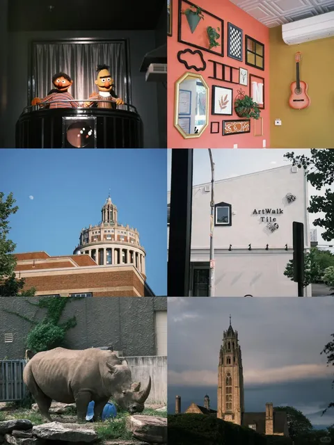 🌳 New York State | Rochester | Long Weekend