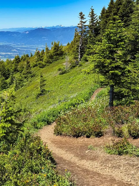 🇨🇦 Elk Mountain (Wildflower Edition!) 🌸