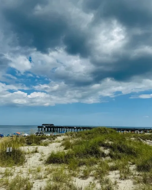 Savannah's Beach Paradise: Tybee Island Pier & Pavilion! 🌊