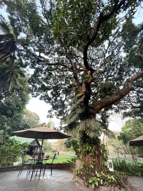 Arusha, Tanzania 🇹🇿 | A Day of Citywalk & Contrasts