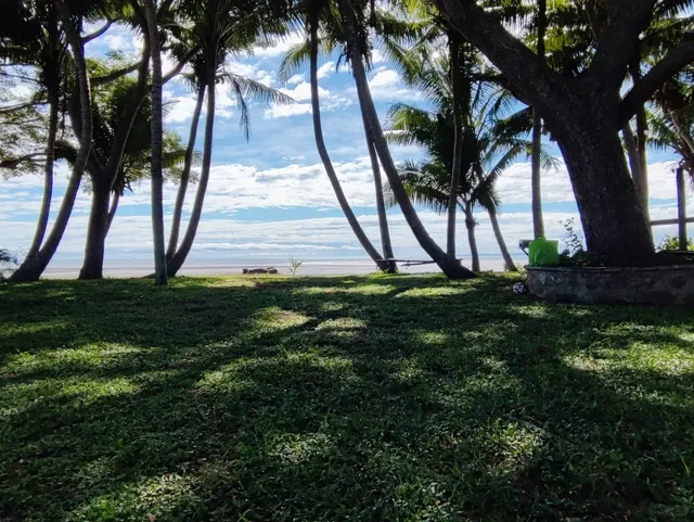 🇫🇯 Fiji’s Main Island: Viti Levu Travel Guide 🌴✨