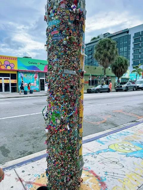 Miami's Must-Visit Instagram-Worthy Spots 📍✨