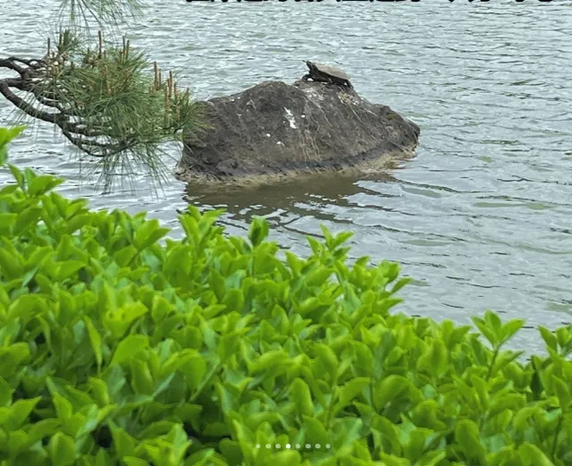 Tokyo Shitamachi Coffee Exploration (2)