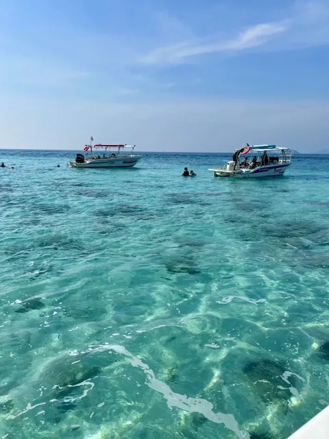 Can't Sleep Because My Pattaya Itinerary is Too Good! ✈️🌴