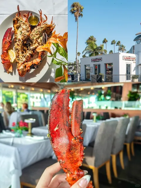 Los Angeles Restaurant Share | Delicious Lobster 🦞