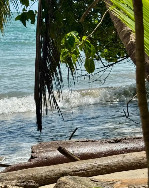 Cahuita National Park Guide | Costa Rica's Hidden Caribbean Gem