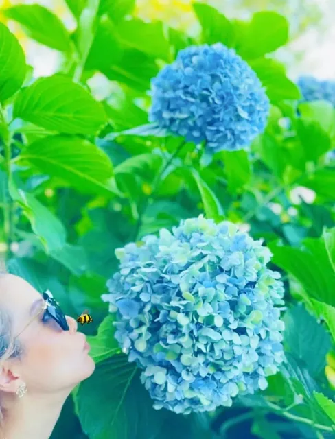 Must-Visit Hidden Gem Zoo 💗