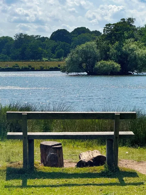 Richmond Park: The Ultimate Guide! 🌳🦌