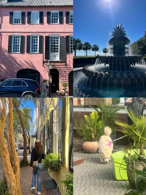 Southern Hidden Gem | Charleston, SC 🌿🤍