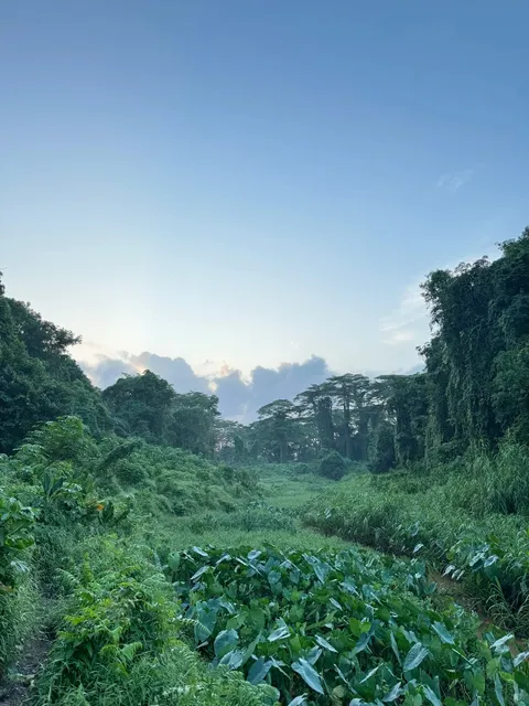 Can't believe this is in Singapore! 🤯🇸🇬