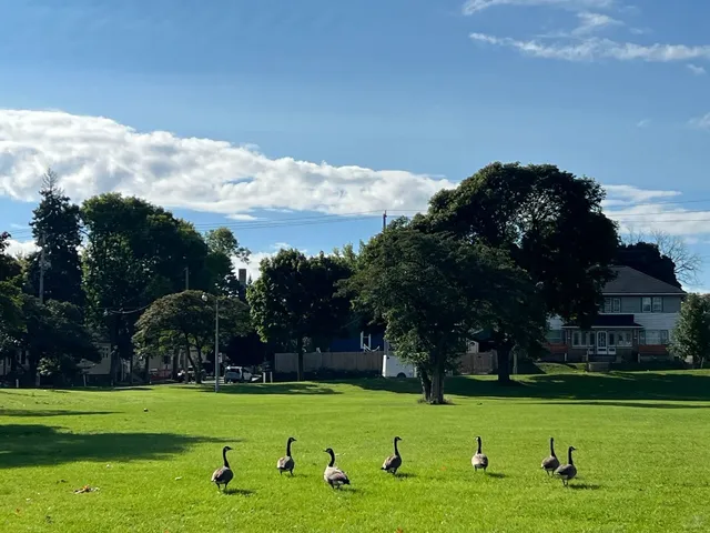  Milwaukee Half-Day Trip Guide 🌆