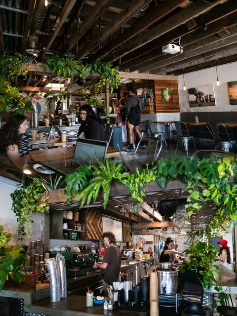 Around LA｜Coffee Can Be So Romantic Too 🌹  