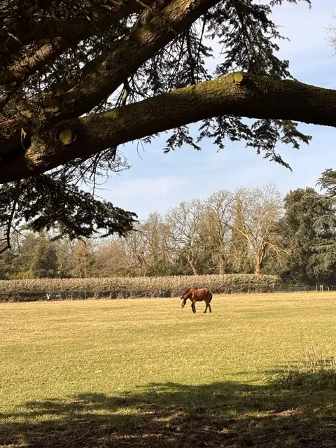 Osterley Park | An 18th-Century English Country Estate✨