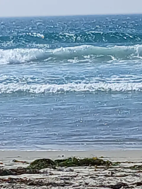 🏖️ The Beach Is Where It’s At! 🌊