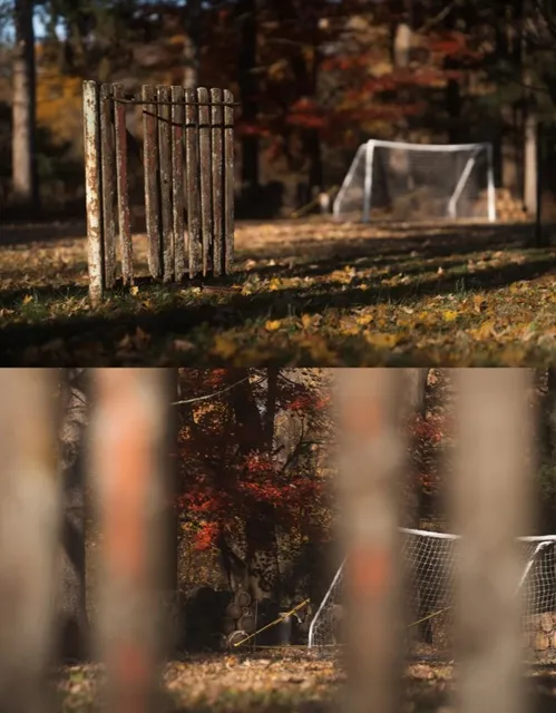 Discover Cleveland's Autumn Magic: 5 Parks Where Dreams Come Alive 🍂✨